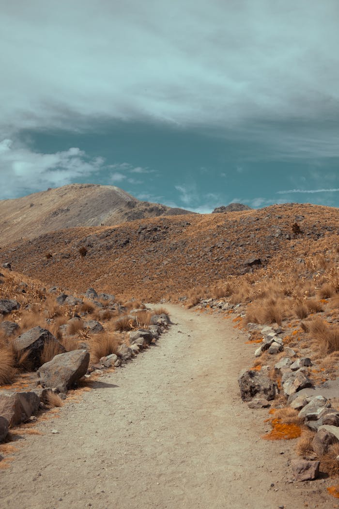 A serene mountain path in Ciudad de México, showcasing rocky terrain and clear skies.